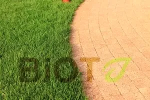 Укладка тротуарной плитки Алматы. Укладка брусчатки Алматы. Укладка брусчатки. Укладка. Укладка. Укладка. Укладка. Укладка. Укладка. Укладка. Укладка. Укладка тротуарной плитки Алматы. Укладка. Укладка брусчатки Алматы. Укладка. Укладка. Укладка брусчатки Алматы.